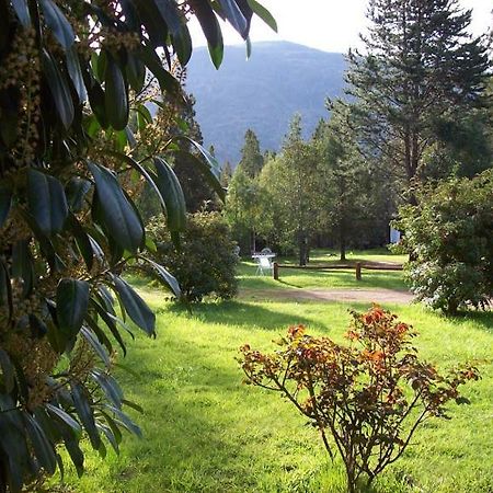 Cabanas Auquin Lemu Lago Puelo Bagian luar foto