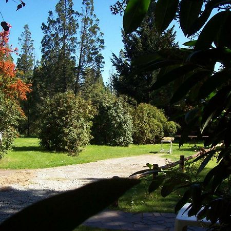 Cabanas Auquin Lemu Lago Puelo Bagian luar foto
